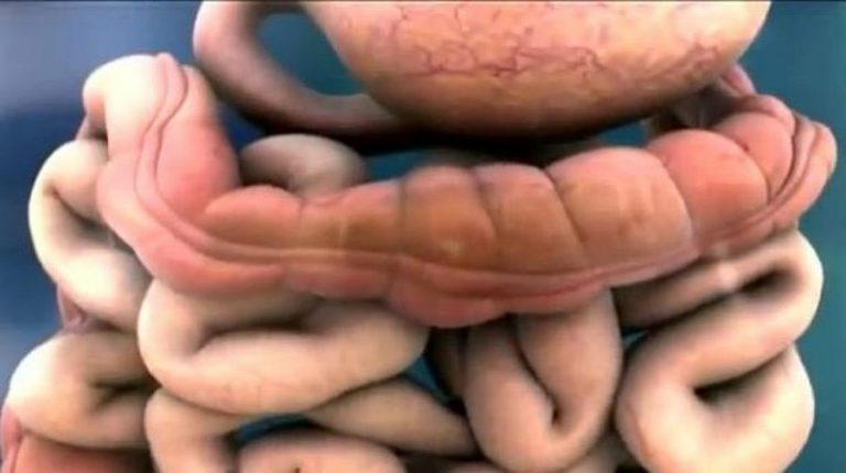 Benefits of cleaning the colon