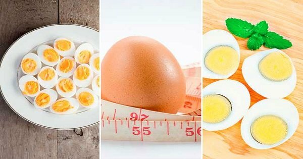 egg diet to lose weight
