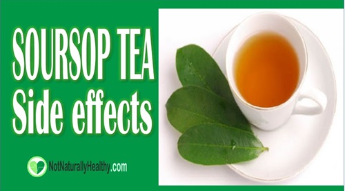 Soursop Tea Side Effects